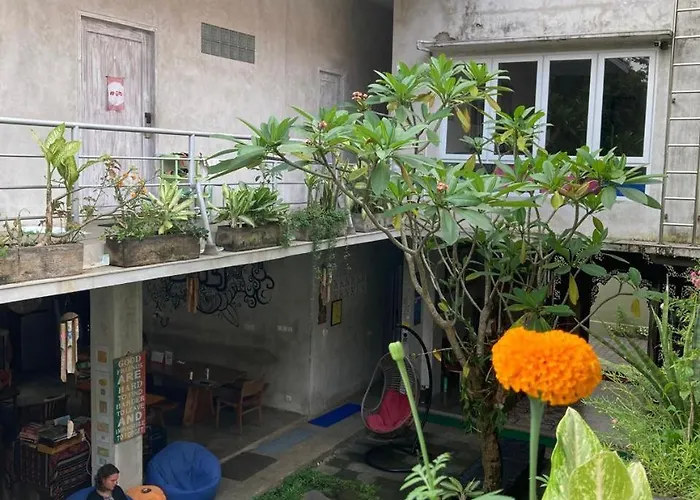 Bali Bobo